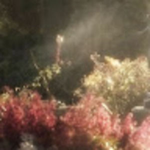 Meet your Posher, Brooke toomasson